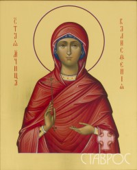 Калисфения, 22х27, 2013 г.