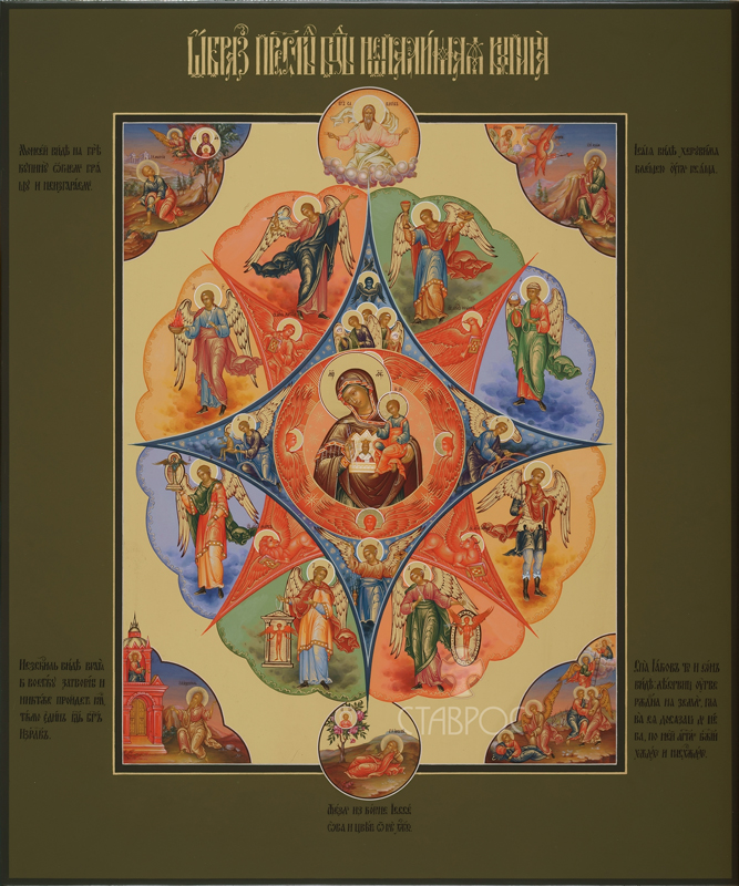 Икона Божией Матери Неопалимая Купина Neopalimaya Kupina 
